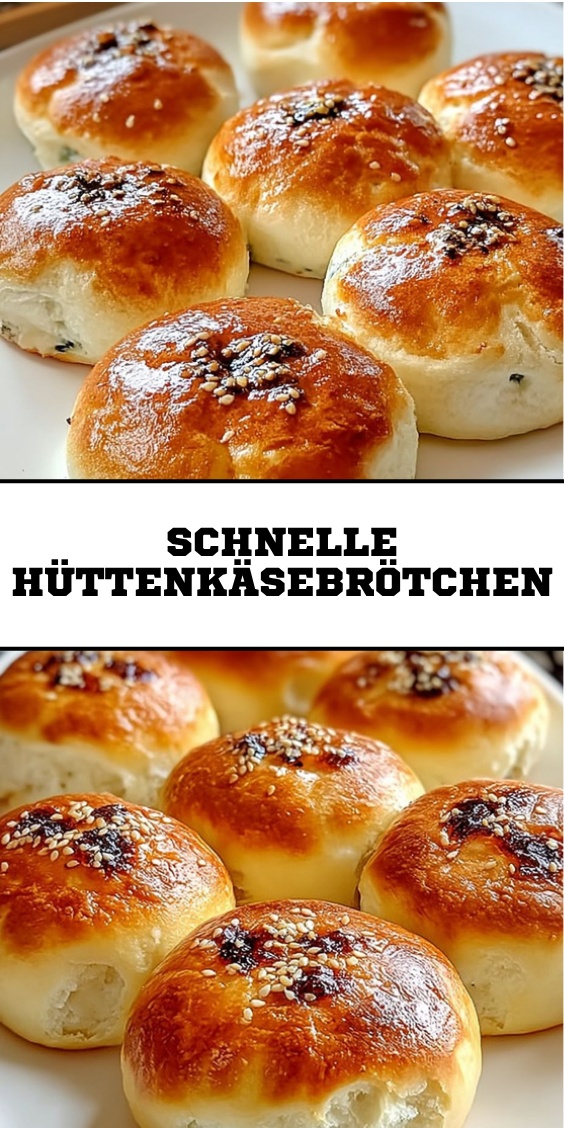 10 plantas que absorben la humedad y evitan la humedad en las paredes content image